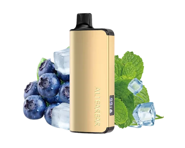 Alibarbar Blueberry Mint disposable vape - 9,000 puffs