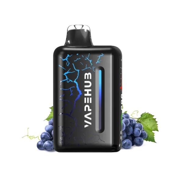 Vapehub Blueberry Blast Storm disposable vape - 20,000 puffs