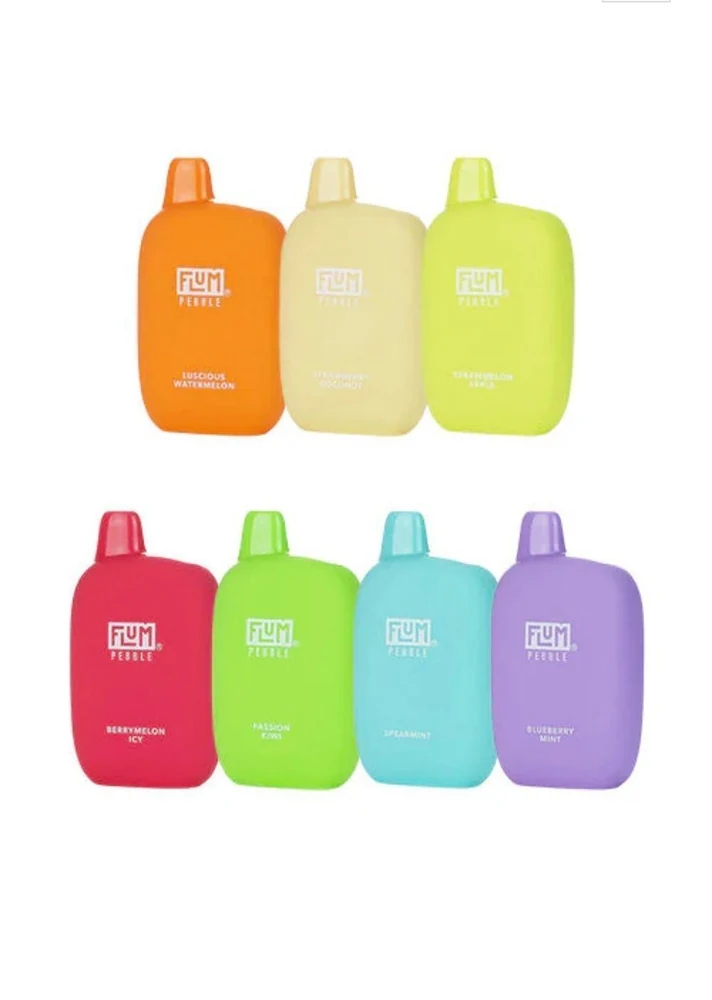 Flum Pebble 6000 puffs Variety Pack (10 pcs) wholesale pack - 10 pcs · 6,000 puffs