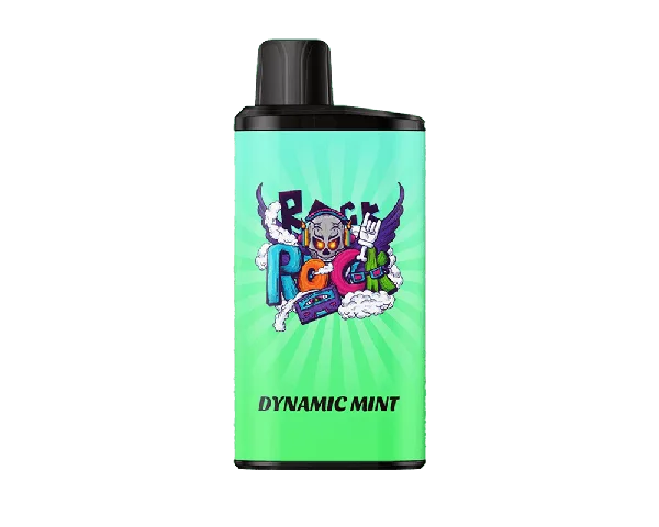 IGET Bar Dynamic Mint disposable vape - 3,500 puffs