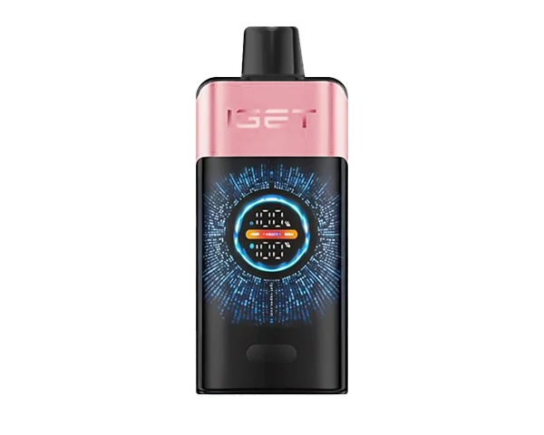 IGET One Mountain Spring Mint Ice disposable vape - 12,000 puffs