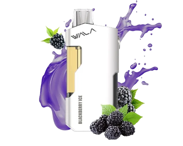 Wala Yo Blackberry Ice disposable vape - 18,000 puffs